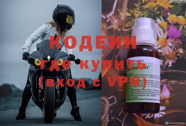 шишки Верхний Тагил
