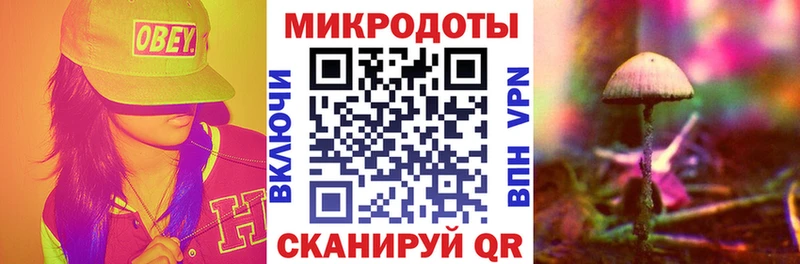кракен маркетплейс  купить наркотики цена  Покровск  Псилоцибиновые грибы Magic Shrooms 